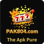 pak-804-game